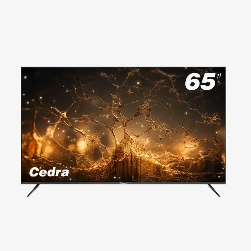 [GG-65 TG Cedra] 65 TG Cedra