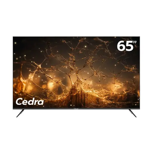 [GG-65 TG Cedra] 65 TG Cedra